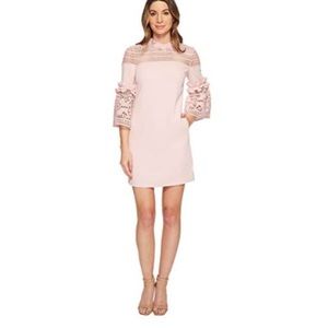Ted Baker Lucila Bell Sleeve Dusky Pink Dress